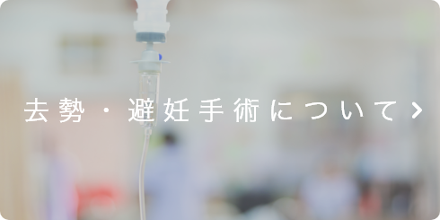 去勢・避妊手術について