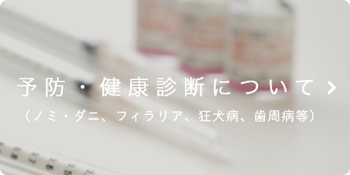 予防・健康診断について(ノミ・ダニ、フィラリア、狂犬病、歯周病等)