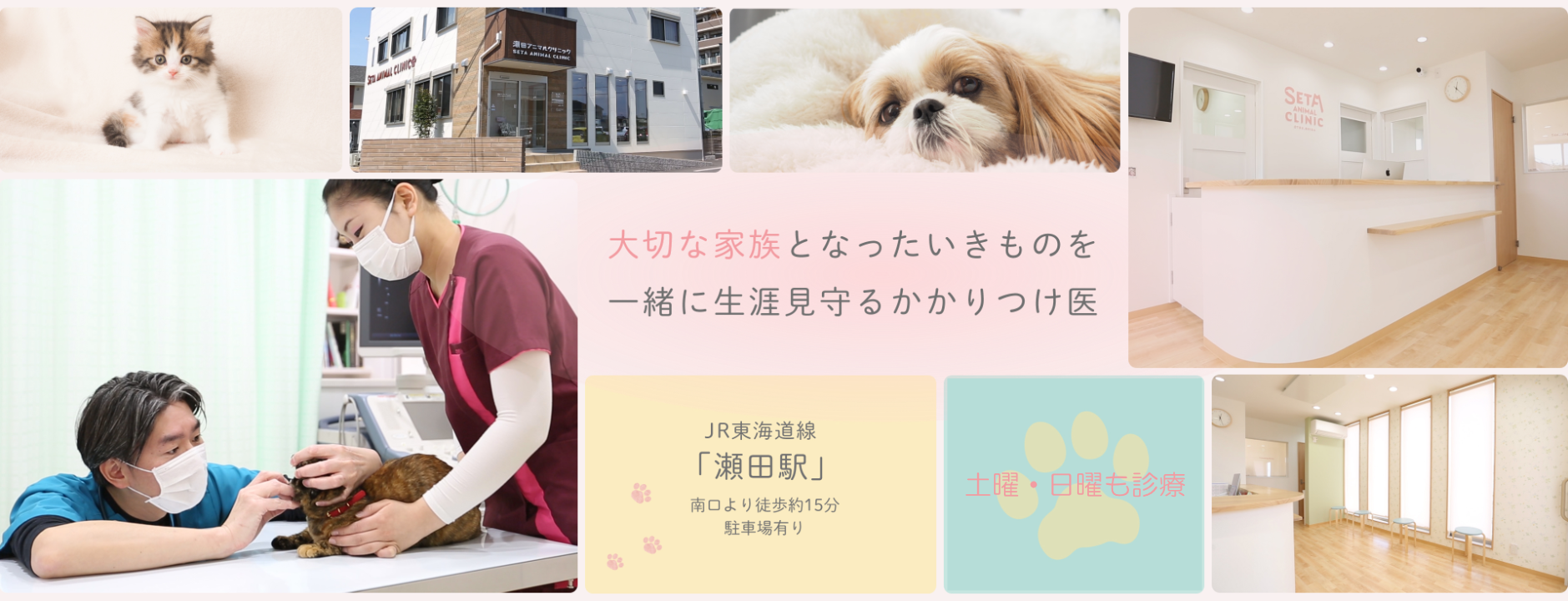 大切な家族となったいきものを一緒に生涯見守るかかりつけ医 JR東海道線「瀬田駅」南口より徒歩約8分駐車場有り 土曜・日曜も診療往診対応可